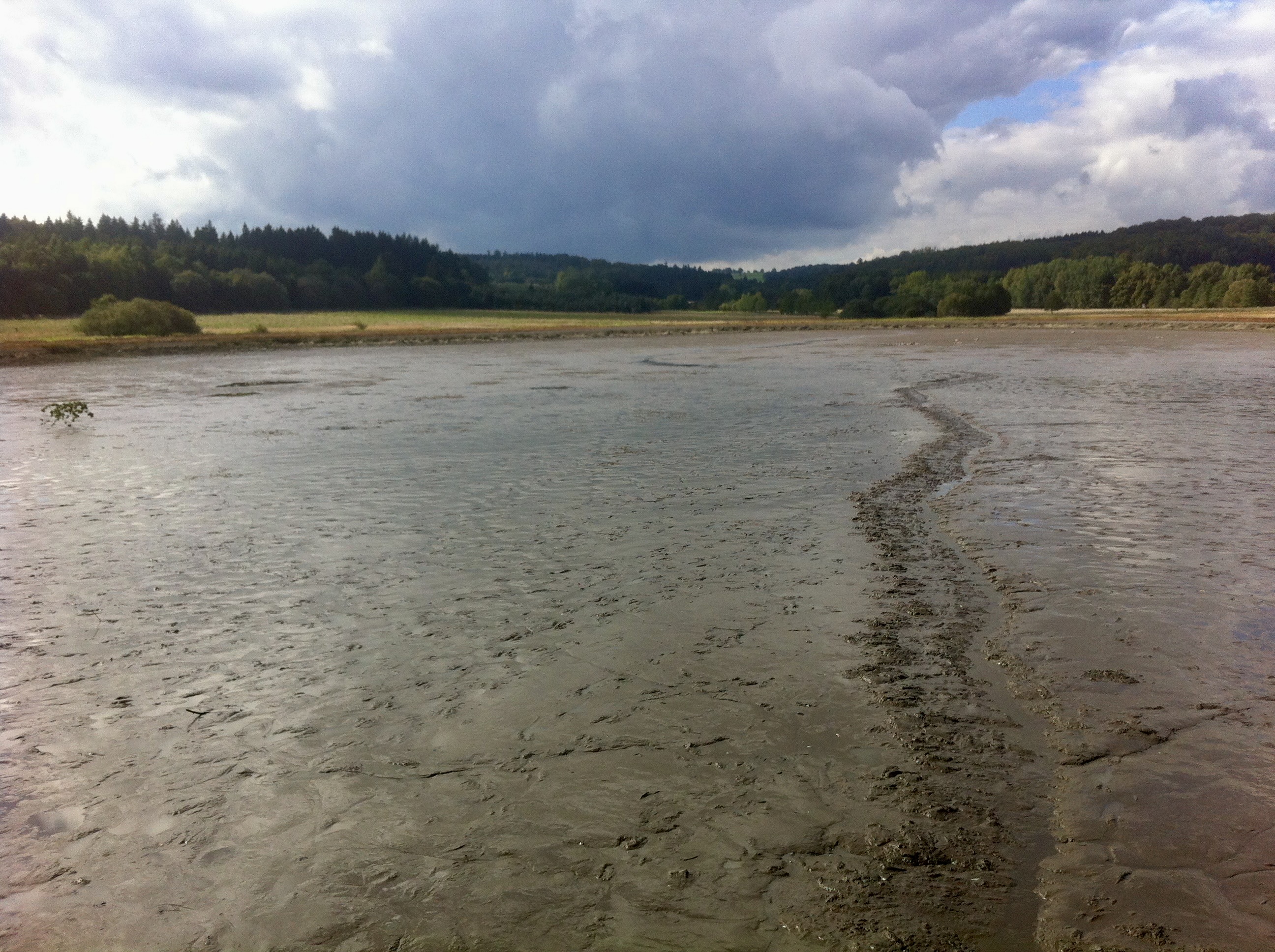 Abgefischter Teich